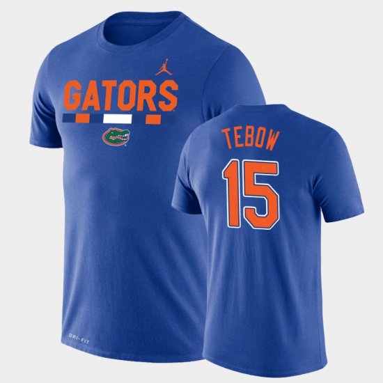 #15 Tim Tebow Team DNA Florida Legend Performance Jordan Brand Men Royal T-Shirt 644463-548